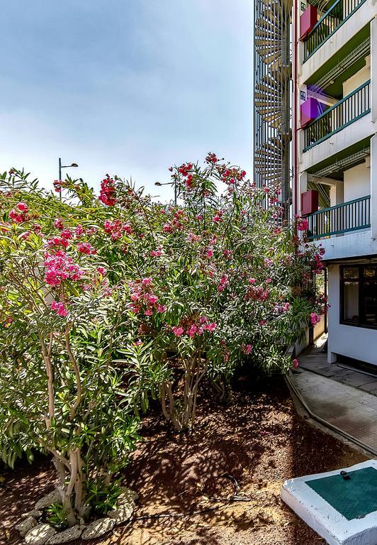 Ferienwohnung Vina Del Mar Ocean Playa de las Américas Exterior foto